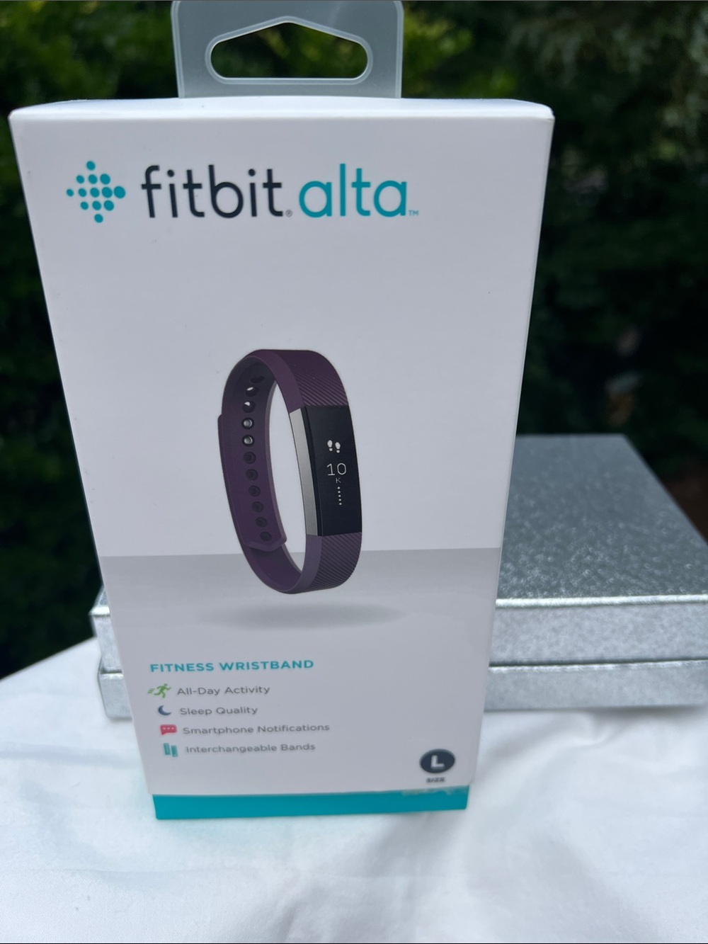 Fitbit Alta Replacement Wristband in Plum Purple